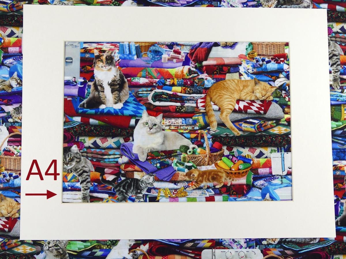 Katzen auf Stoff Quilt Patchworkstoff A4 Ansicht